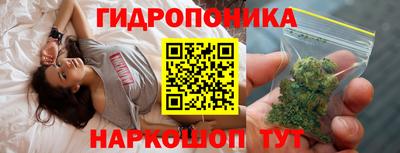 apvp Дмитров