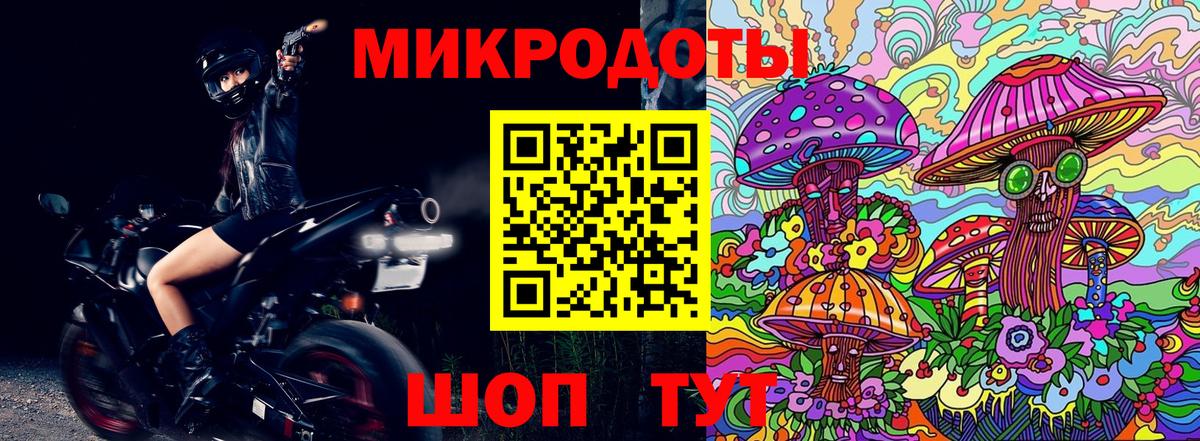 Новошахтинск  Псилоцибиновые грибы Psilocybine cubensis  Вход с VPN 
