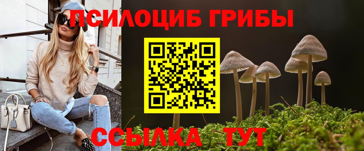 Псилоцибиновые грибы ЛСД Новошахтинск
